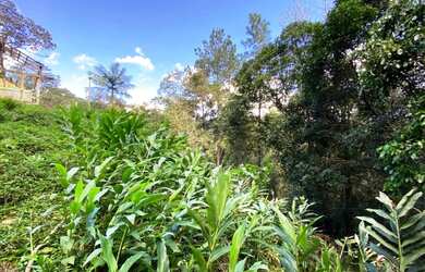 Imagem 3: Terreno medindo 25.000,00 m² com Escritura Definitiva