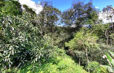 Imagem 7: Terreno medindo 25.000,00 m² com Escritura Definitiva