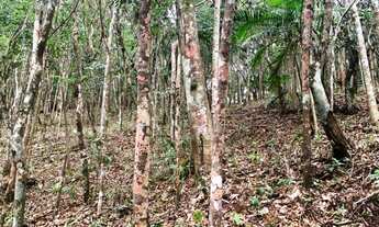 Imagem: Terreno medindo 1.500,00 m² com escritura