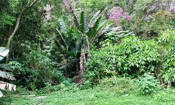 Imagem 2: Terreno em São Lourenço da Serra medindo 2.916,00 m²