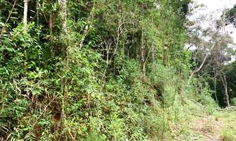 Imagem: Terreno em São Lourenço da Serra, medindo