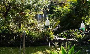 Imagem 7: Sítio em Juquitiba com 2 lagos