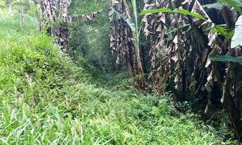 Imagem 2: Sítio em São Lourenço da Serra com área de 55 hectares
