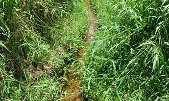 Imagem 7: Casa em São Lourenço da Serra com 2 dormitórios