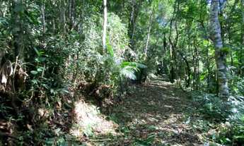 Imagem 4: Terreno em Juquitiba com área de 39.000,00 m² com riacho