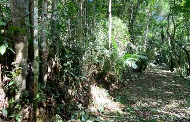 Imagem 5: Terreno em Juquitiba com área de 39.000,00 m² com riacho