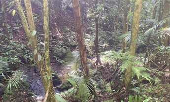 Imagem: Terreno em Juquitiba com área de 39.000,00
