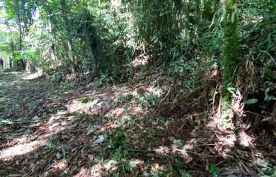 Imagem 6: Terreno em Juquitiba com área de 39.000,00 m² com riacho