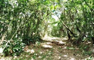 Imagem 2: Sítio em São Lourenço da Serra com área de 2,5 alqueires com nascente