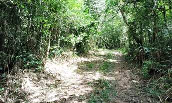 Imagem 3: Sítio em São Lourenço da Serra com área de 2,5 alqueires com nascente