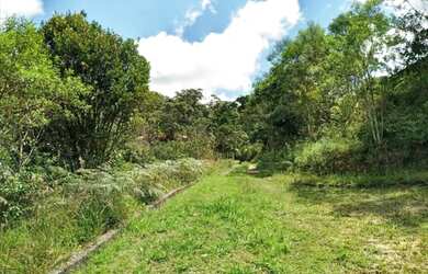 Imagem 7: Sítio em São Lourenço da Serra com área de 2,5 alqueires com nascente