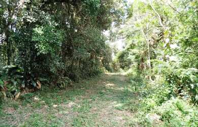 Imagem 5: Sítio em São Lourenço da Serra com área de 2,5 alqueires com nascente