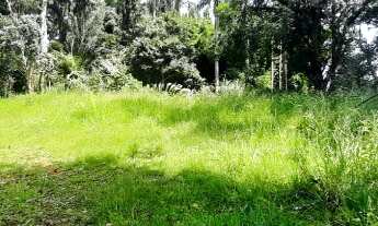 Imagem: Sítio em Itapecerica da Serra com área