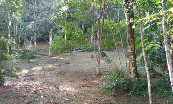 Imagem: Terreno medindo 4.000,00 m² em São Lourenço