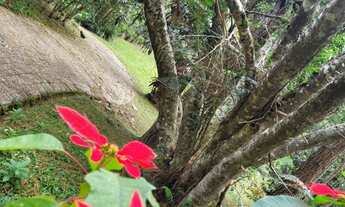 Imagem 7: Sítio em São Lourenço da Serra com área de 61.000,00 m²