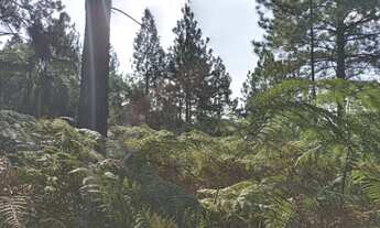 Imagem 5: Sítio em Itapecerica da Serra com área de 60.000,00 m²