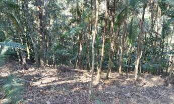 Imagem 6: Terreno em São Lourenço da Serra medindo 3.100,00 m²