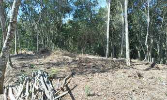 Imagem: Terreno em São Lourenço da Serra medindo