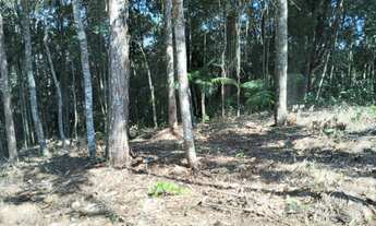 Imagem 3: Terreno em São Lourenço da Serra medindo 3.100,00 m²