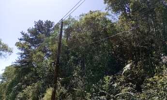 Imagem 4: Terreno em Juquitiba com área de 12 alqueires