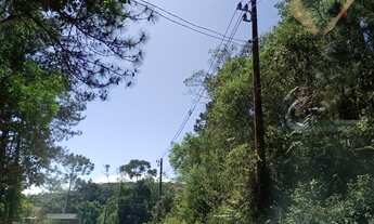 Imagem 6: Terreno em Juquitiba com área de 12 alqueires