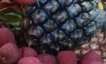 Imagem 6: Chácara em Juquitiba com 8.362,00 m²