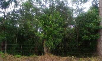 Imagem: Terreno em São Lourenço da Serra com área