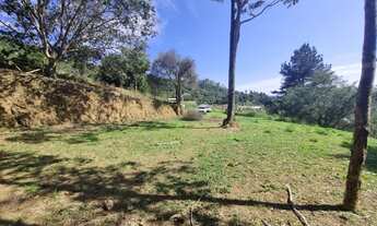 Imagem: Terreno em Juquitiba medindo 5.000,00 m²