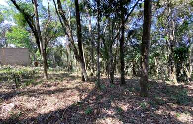 Imagem 2: Terreno em São Lourenço da Serra medindo 3.100,00 m²