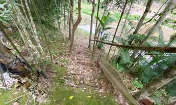 Imagem 5: Sítio em Juquitiba com área de 20.000,00 m² com nascente