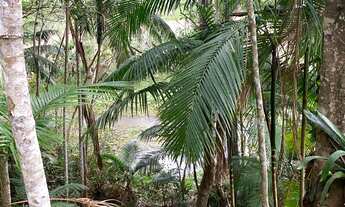 Imagem 3: Sítio em Juquitiba com área de 20.000,00 m² com nascente