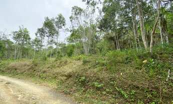 Imagem 7: Terreno em Juquitiba com área de 49.275,00 m² com riacho