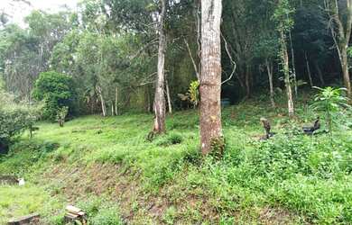 Imagem 2: Terreno em Juquitiba medindo 33.000,00 m²