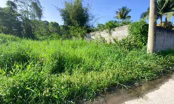 Imagem 2: Terreno em São Lourenço da Serra com área de 1.200,00 m² com ótima topografia e excelente