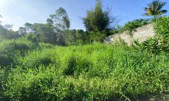 Imagem 5: Terreno em São Lourenço da Serra com área de 1.200,00 m² com ótima topografia e excelente