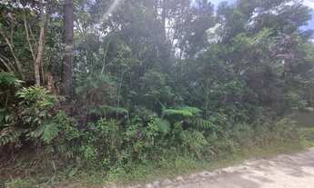 Imagem 2: Terreno em São Lourenço da Serra com área de 20.600,00 m² com riacho