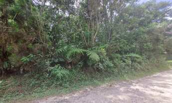 Imagem 3: Terreno em São Lourenço da Serra com área de 20.600,00 m² com riacho