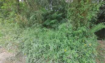 Imagem 5: Terreno em São Lourenço da Serra com área de 20.600,00 m² com riacho