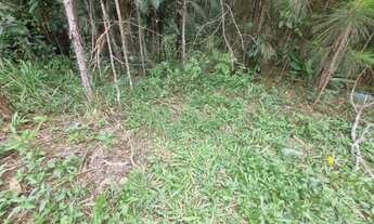 Imagem 7: Terreno em São Lourenço da Serra com área de 20.600,00 m² com riacho