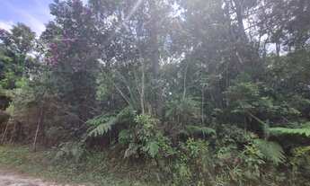 Imagem 4: Terreno em São Lourenço da Serra com área de 20.600,00 m² com riacho