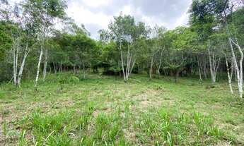 Imagem 3: Terreno em Juquitiba com área de 49.275,00 m² com riacho