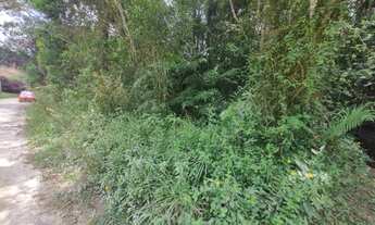 Imagem 6: Terreno em São Lourenço da Serra com área de 20.600,00 m² com riacho