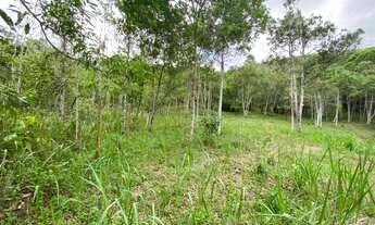 Imagem 5: Terreno em Juquitiba com área de 49.275,00 m² com riacho
