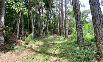 Imagem 7: Sítio em Juquitiba com área de 10,9 alqueires com casa sede com 4 dormitórios