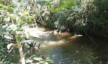 Imagem 5: Sítio em Juquitiba com área de 24.000,00 m²