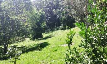 Imagem 4: Sítio em Juquitiba com área de 24.000,00 m²