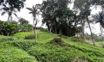 Imagem 7: Chácara em Juquitiba com excelente localização a 500 metros da Rodovia Régis Bittencourt