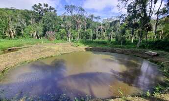 Imagem 7: Chácara em Juquitiba com área de 1.500,00 m² com lago