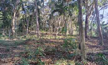 Imagem: Terreno em São Lourenço da Serra com área