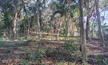 Imagem 2: Terreno em São Lourenço da Serra com área de 1.500,00 m² com boa localização